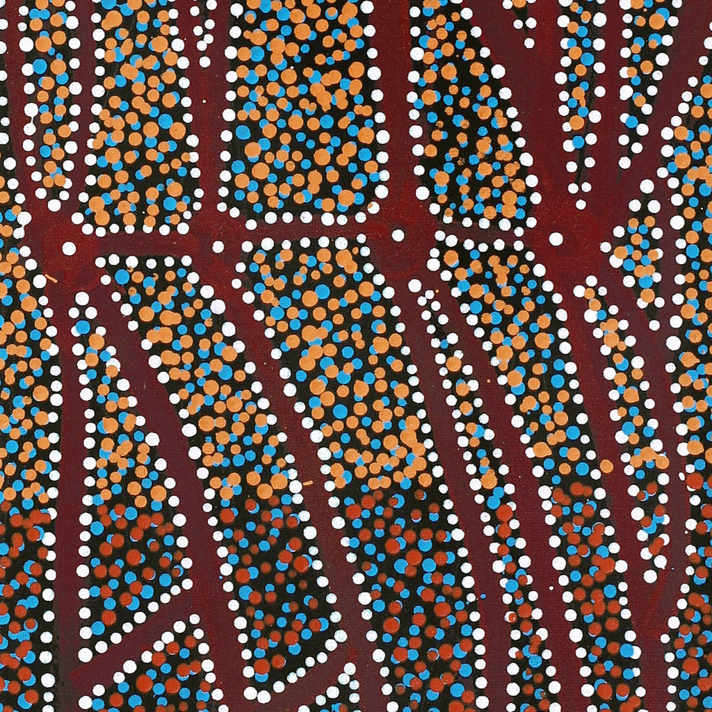 Aboriginal Artwork by Clarissa Nangala Williams, Ngapa Jukurrpa (Water Dreaming) - Puyurru, 122x30cm