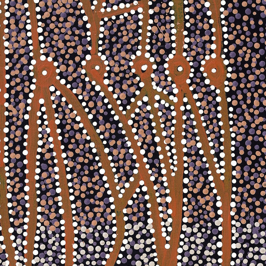 Aboriginal Artwork by Clarissa Nangala Williams, Ngapa Jukurrpa (Water Dreaming) - Puyurru, 122x30cm