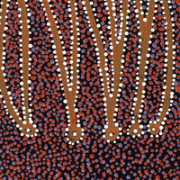 Aboriginal Artwork by Clarissa Nangala Williams, Ngapa Jukurrpa (Water Dreaming) - Puyurru, 122x30cm