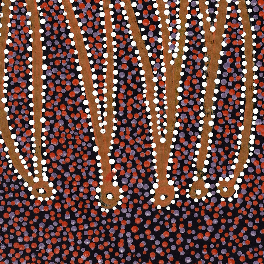 Aboriginal Artwork by Clarissa Nangala Williams, Ngapa Jukurrpa (Water Dreaming) - Puyurru, 122x30cm