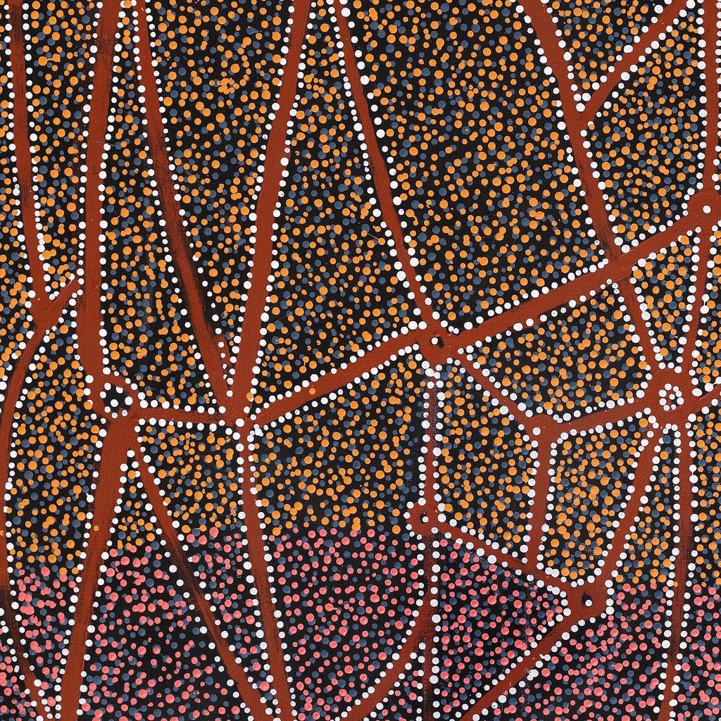 Aboriginal Artwork by Clarissa Nangala Williams, Ngapa Jukurrpa (Water Dreaming) - Puyurru, 122x61cm - ART ARK®