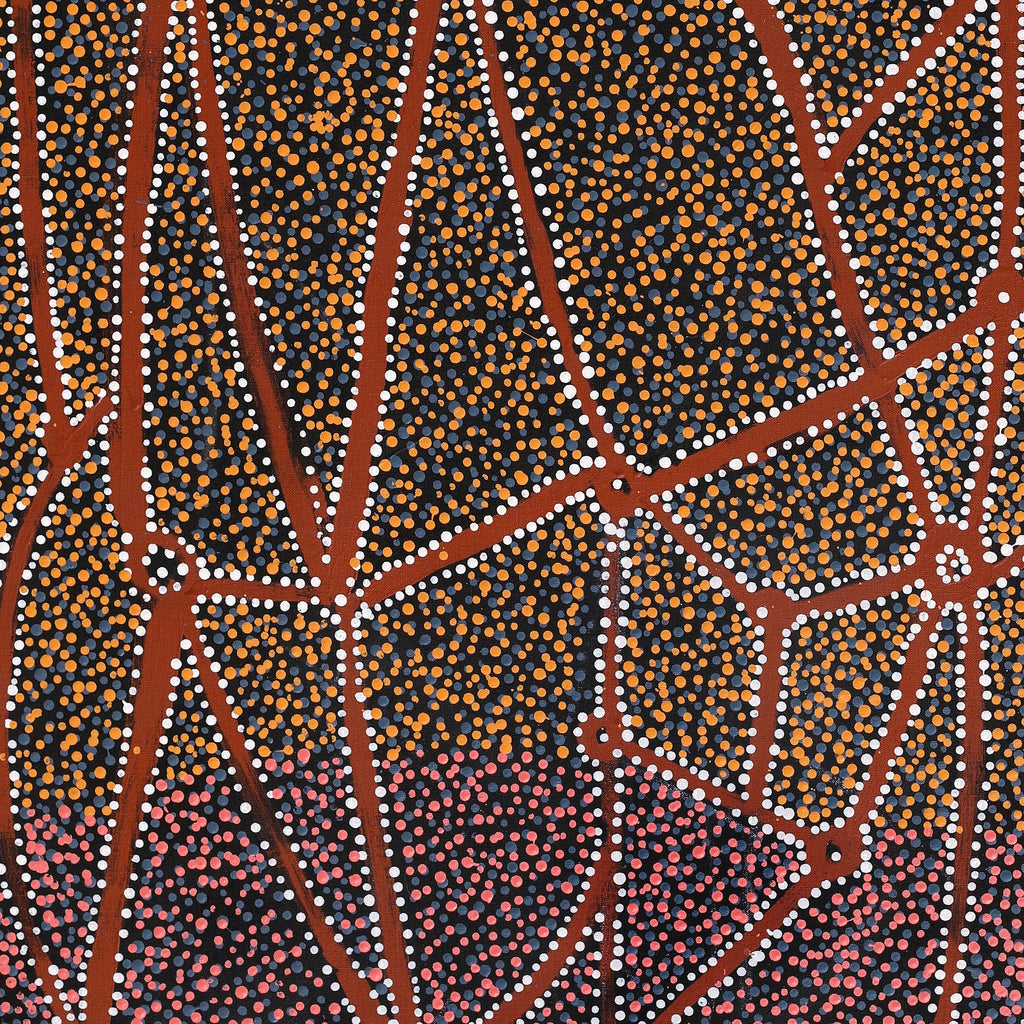 Aboriginal Art by Clarissa Nangala Williams, Ngapa Jukurrpa (Water Dreaming) - Puyurru, 122x61cm - ART ARK®