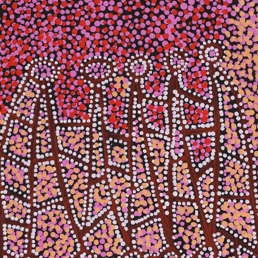 Aboriginal Artwork by Clarissa Nangala Williams, Ngapa Jukurrpa (Water Dreaming) - Puyurru, 76x30cm