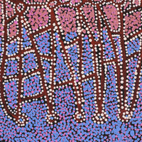 Aboriginal Artwork by Clarissa Nangala Williams, Ngapa Jukurrpa (Water Dreaming) - Puyurru, 76x30cm