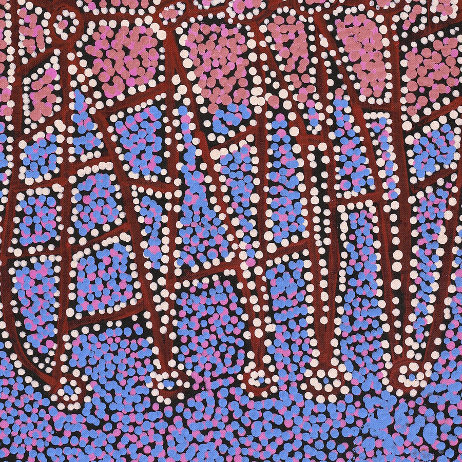 Aboriginal Artwork by Clarissa Nangala Williams, Ngapa Jukurrpa (Water Dreaming) - Puyurru, 76x30cm
