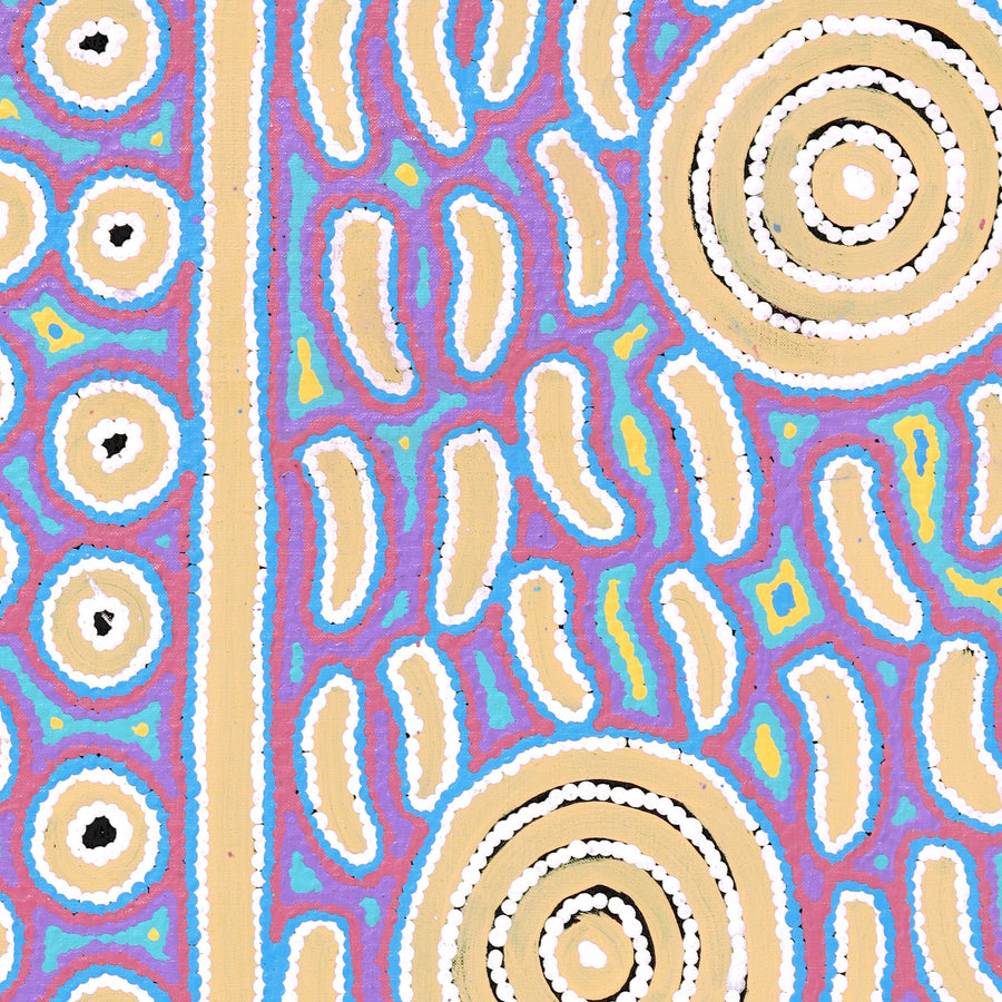 Aboriginal Artwork by Courtney Nampijinpa Patrick, Ngapa Jukurrpa (Water Dreaming) - Puyurru, 76x46cm