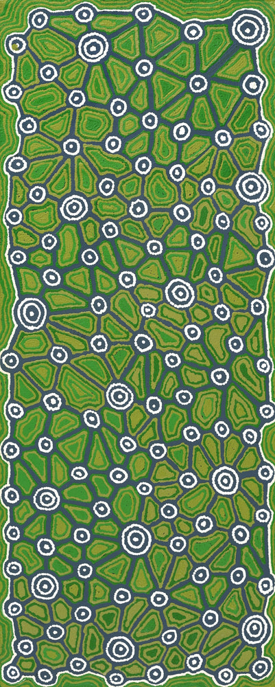 Aboriginal Artwork by Cynthia Nakamarra Wheeler, Yurrampi Jukurrpa (Honey Ant Dreaming), 152x61cm