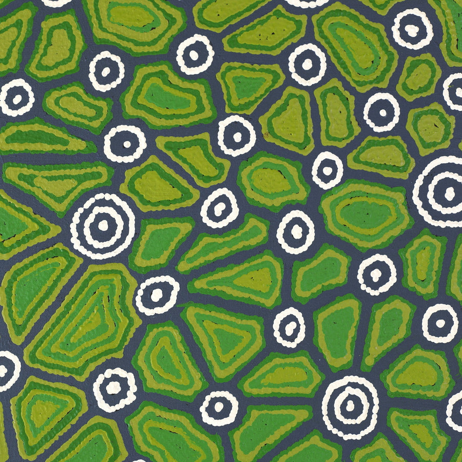 Aboriginal Artwork by Cynthia Nakamarra Wheeler, Yurrampi Jukurrpa (Honey Ant Dreaming), 152x61cm