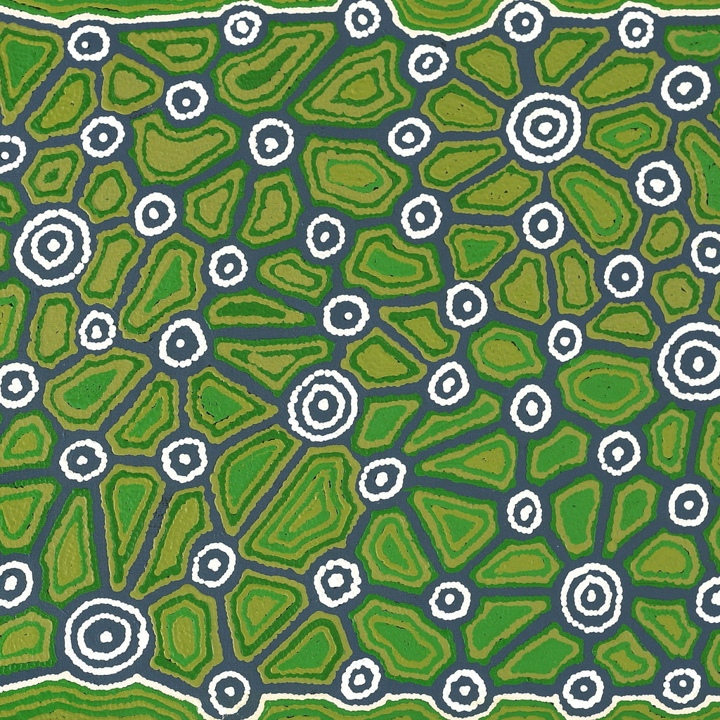 Aboriginal Artwork by Cynthia Nakamarra Wheeler, Yurrampi Jukurrpa (Honey Ant Dreaming), 152x61cm