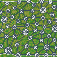 Aboriginal Artwork by Cynthia Nakamarra Wheeler, Yurrampi Jukurrpa (Honey Ant Dreaming), 152x61cm