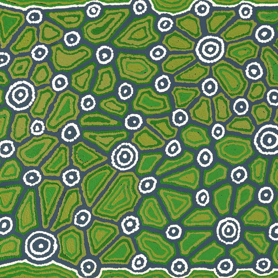 Aboriginal Artwork by Cynthia Nakamarra Wheeler, Yurrampi Jukurrpa (Honey Ant Dreaming), 152x61cm
