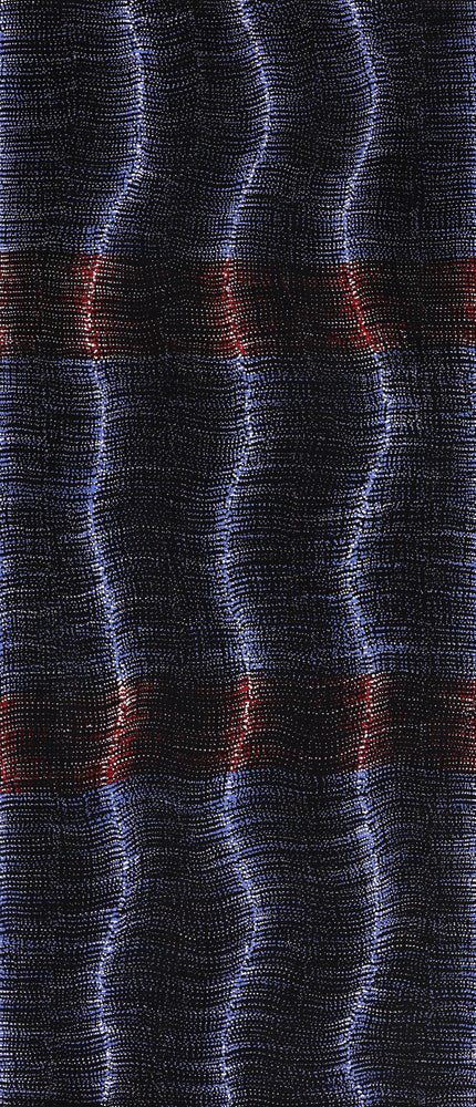 Aboriginal Artwork by Debbie Napaljarri Brown, Wanakiji Jukurrpa (Bush Tomato Dreaming), 107x46cm