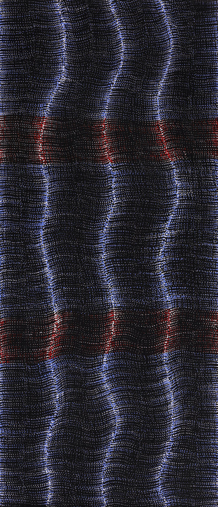 Aboriginal Artwork by Debbie Napaljarri Brown, Wanakiji Jukurrpa (Bush Tomato Dreaming), 107x46cm