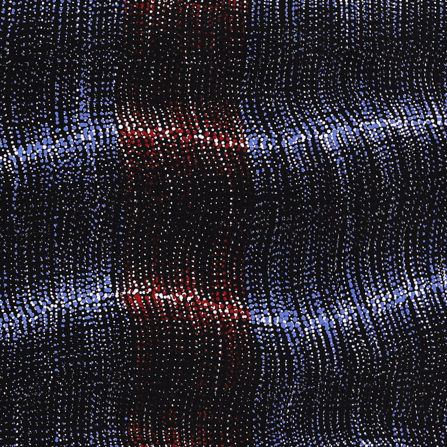 Aboriginal Artwork by Debbie Napaljarri Brown, Wanakiji Jukurrpa (Bush Tomato Dreaming), 107x46cm