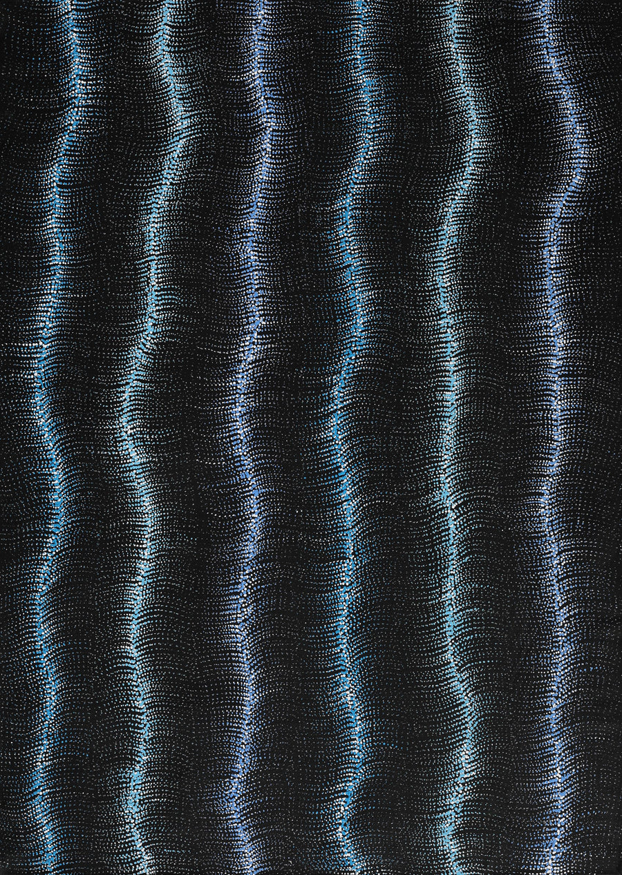 Aboriginal Artwork by Debbie Napaljarri Brown, Wanakiji Jukurrpa (Bush Tomato Dreaming), 107x76cm