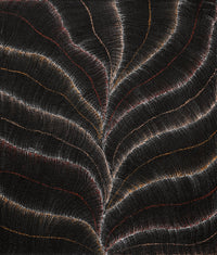 Aboriginal Artwork by Debbie Napaljarri Brown, Wanakiji Jukurrpa (Bush Tomato Dreaming), 107x91cm