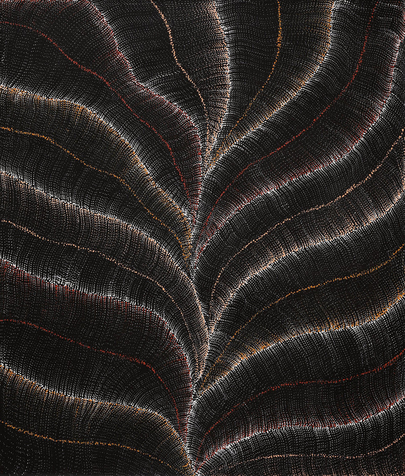 Aboriginal Artwork by Debbie Napaljarri Brown, Wanakiji Jukurrpa (Bush Tomato Dreaming), 107x91cm