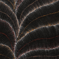 Aboriginal Artwork by Debbie Napaljarri Brown, Wanakiji Jukurrpa (Bush Tomato Dreaming), 107x91cm