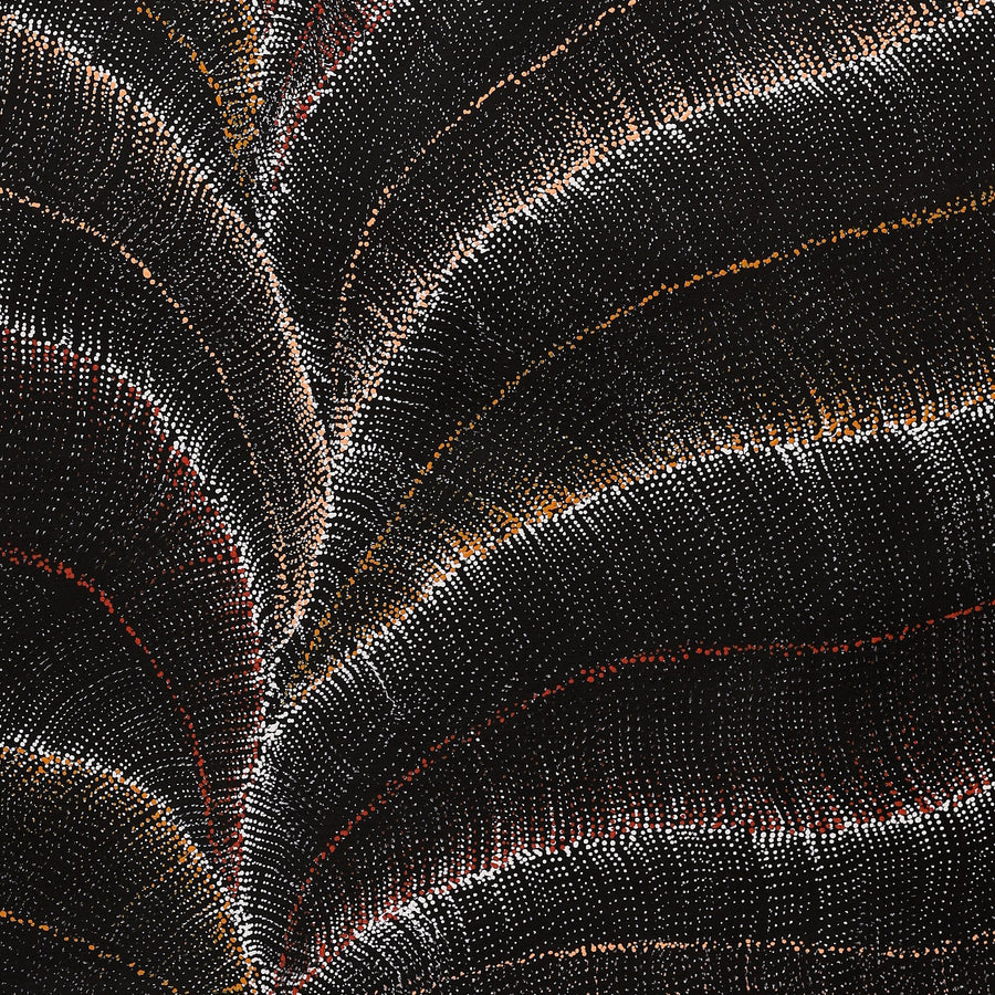 Aboriginal Artwork by Debbie Napaljarri Brown, Wanakiji Jukurrpa (Bush Tomato Dreaming), 107x91cm