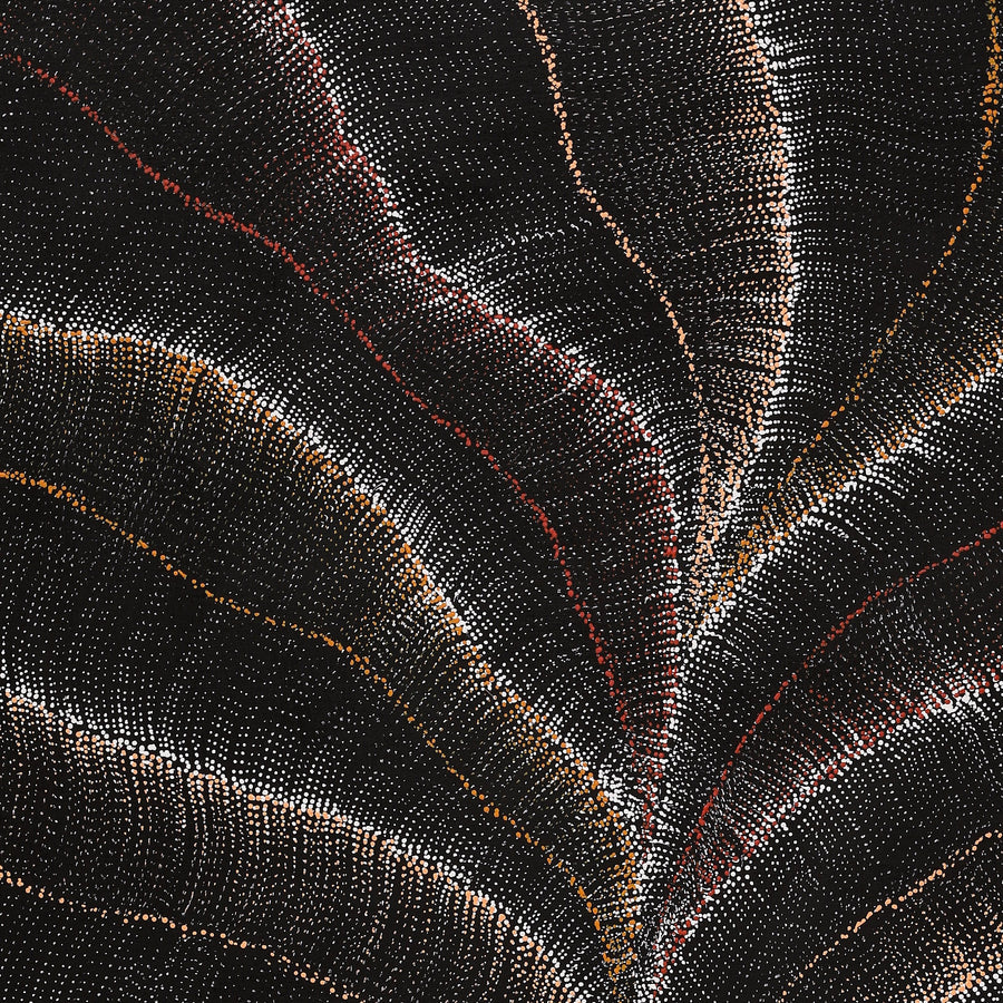 Aboriginal Artwork by Debbie Napaljarri Brown, Wanakiji Jukurrpa (Bush Tomato Dreaming), 107x91cm