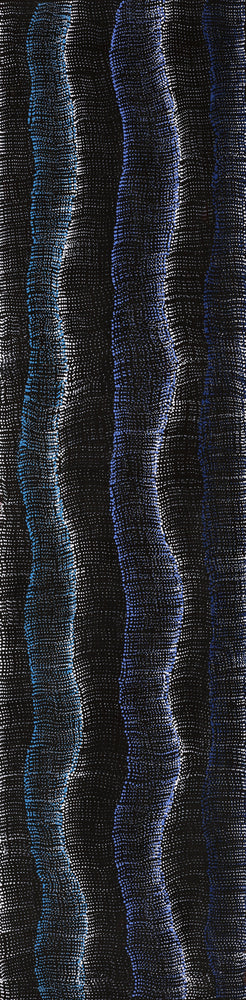 Aboriginal Artwork by Debbie Napaljarri Brown, Wanakiji Jukurrpa (Bush Tomato Dreaming), 122x30cm