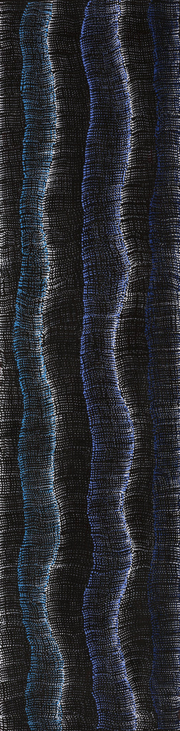 Aboriginal Artwork by Debbie Napaljarri Brown, Wanakiji Jukurrpa (Bush Tomato Dreaming), 122x30cm