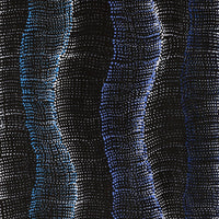 Aboriginal Artwork by Debbie Napaljarri Brown, Wanakiji Jukurrpa (Bush Tomato Dreaming), 122x30cm