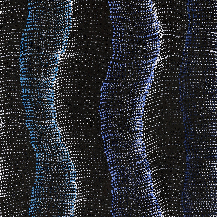 Aboriginal Artwork by Debbie Napaljarri Brown, Wanakiji Jukurrpa (Bush Tomato Dreaming), 122x30cm
