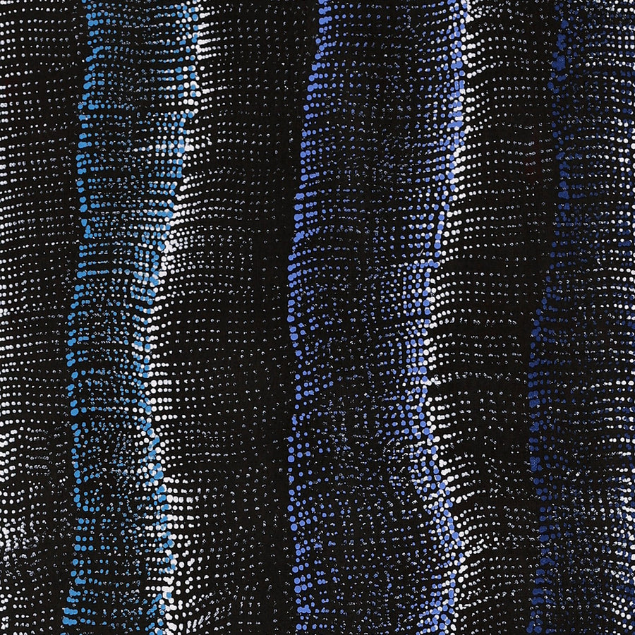 Aboriginal Artwork by Debbie Napaljarri Brown, Wanakiji Jukurrpa (Bush Tomato Dreaming), 122x30cm