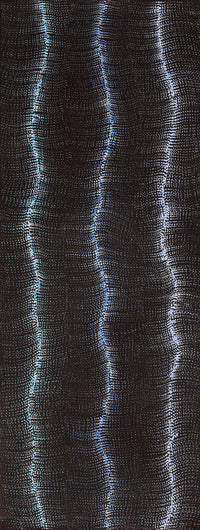 Aboriginal Artwork by Debbie Napaljarri Brown, Wanakiji Jukurrpa (Bush Tomato Dreaming), 122x46cm