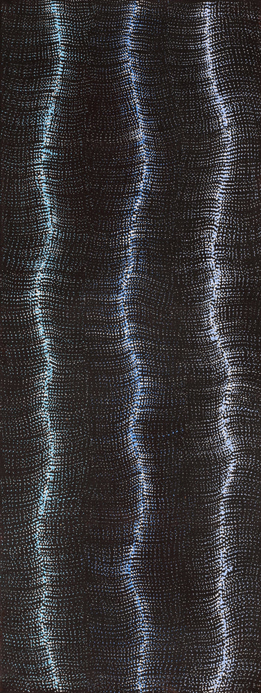 Aboriginal Artwork by Debbie Napaljarri Brown, Wanakiji Jukurrpa (Bush Tomato Dreaming), 122x46cm