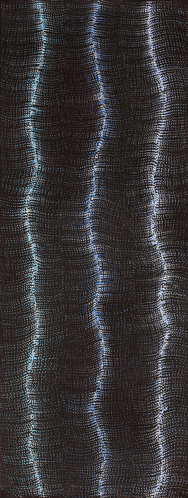 Aboriginal Artwork by Debbie Napaljarri Brown, Wanakiji Jukurrpa (Bush Tomato Dreaming), 122x46cm