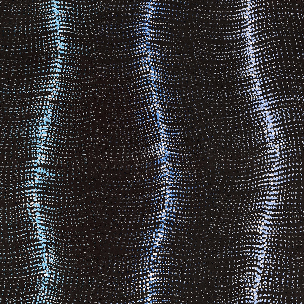 Aboriginal Artwork by Debbie Napaljarri Brown, Wanakiji Jukurrpa (Bush Tomato Dreaming), 122x46cm
