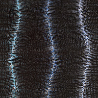 Aboriginal Artwork by Debbie Napaljarri Brown, Wanakiji Jukurrpa (Bush Tomato Dreaming), 122x46cm