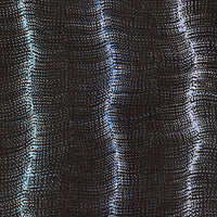 Aboriginal Artwork by Debbie Napaljarri Brown, Wanakiji Jukurrpa (Bush Tomato Dreaming), 122x46cm
