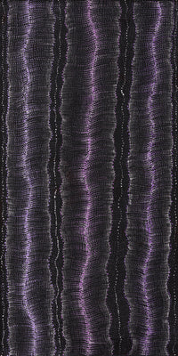 Aboriginal Artwork by Debbie Napaljarri Brown, Wanakiji Jukurrpa (Bush Tomato Dreaming), 122x61cm