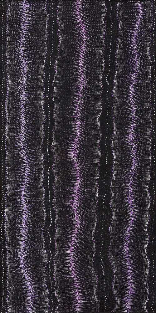 Aboriginal Artwork by Debbie Napaljarri Brown, Wanakiji Jukurrpa (Bush Tomato Dreaming), 122x61cm