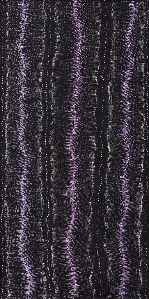 Aboriginal Artwork by Debbie Napaljarri Brown, Wanakiji Jukurrpa (Bush Tomato Dreaming), 122x61cm