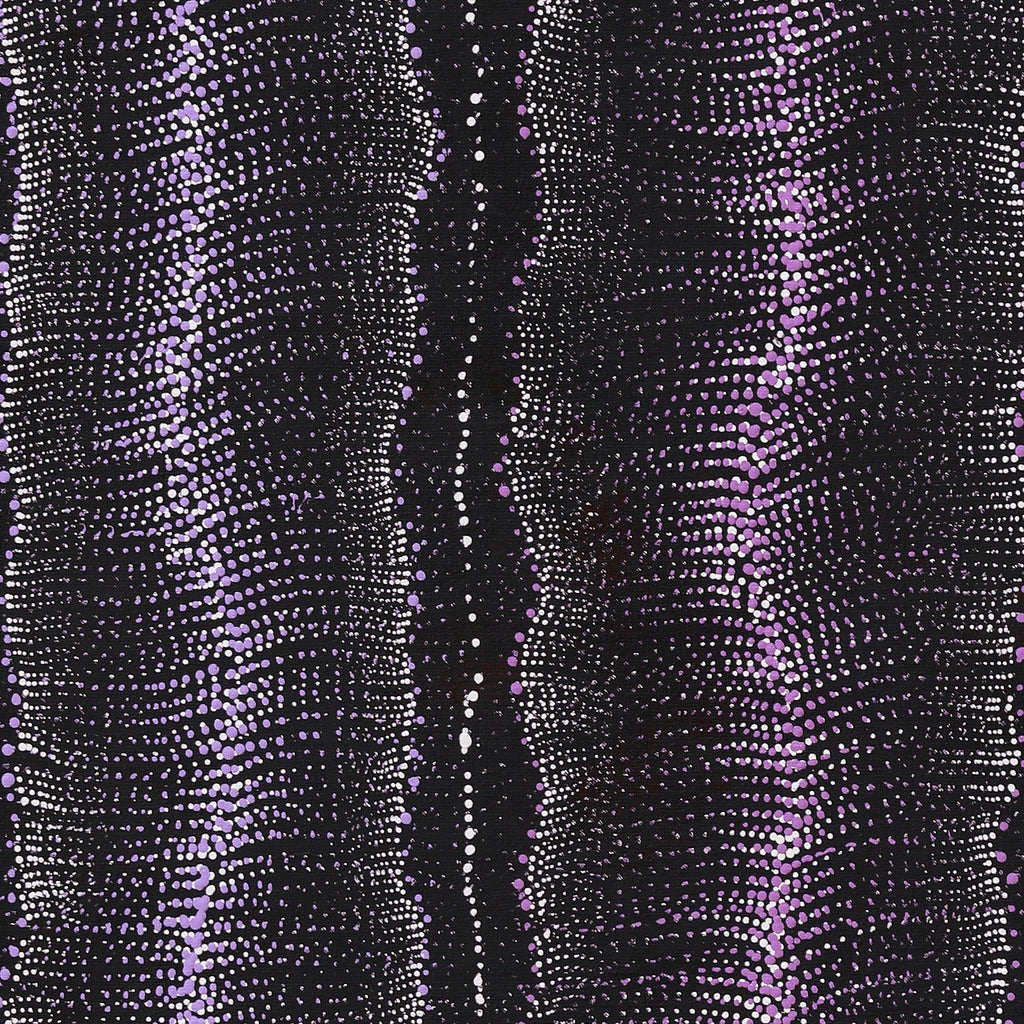 Aboriginal Artwork by Debbie Napaljarri Brown, Wanakiji Jukurrpa (Bush Tomato Dreaming), 122x61cm