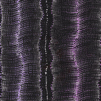 Aboriginal Artwork by Debbie Napaljarri Brown, Wanakiji Jukurrpa (Bush Tomato Dreaming), 122x61cm