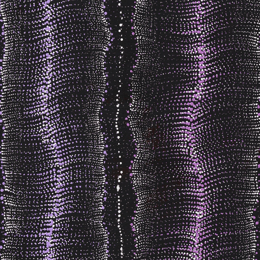 Aboriginal Artwork by Debbie Napaljarri Brown, Wanakiji Jukurrpa (Bush Tomato Dreaming), 122x61cm