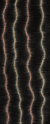 Aboriginal Artwork by Debbie Napaljarri Brown, Wanakiji Jukurrpa (Bush Tomato Dreaming), 152x61cm
