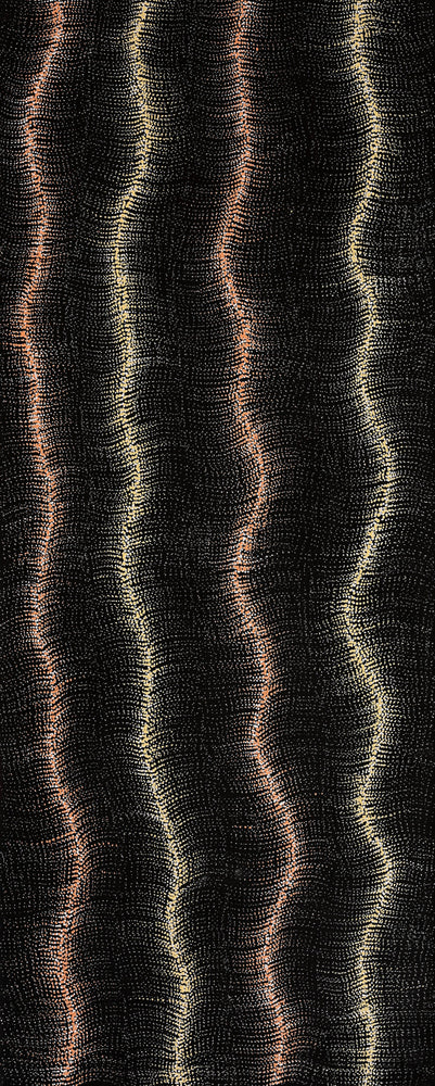 Aboriginal Artwork by Debbie Napaljarri Brown, Wanakiji Jukurrpa (Bush Tomato Dreaming), 152x61cm