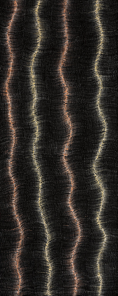 Aboriginal Artwork by Debbie Napaljarri Brown, Wanakiji Jukurrpa (Bush Tomato Dreaming), 152x61cm