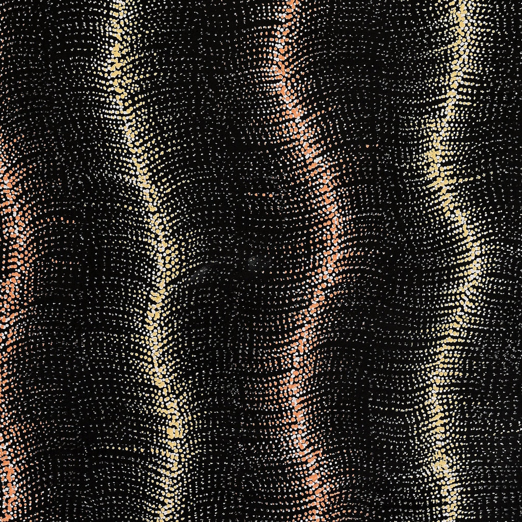 Aboriginal Artwork by Debbie Napaljarri Brown, Wanakiji Jukurrpa (Bush Tomato Dreaming), 152x61cm