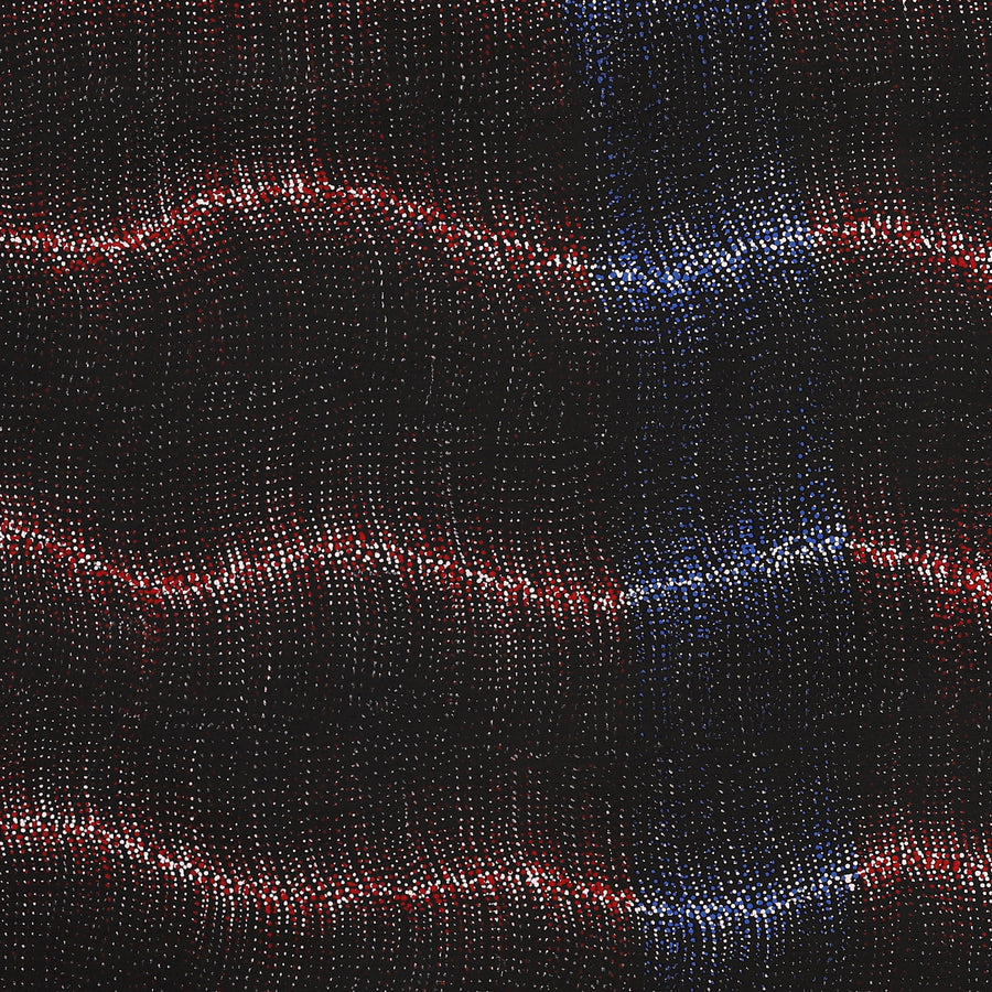 Aboriginal Artwork by Debbie Napaljarri Brown, Wanakiji Jukurrpa (Bush Tomato Dreaming), 152x61cm