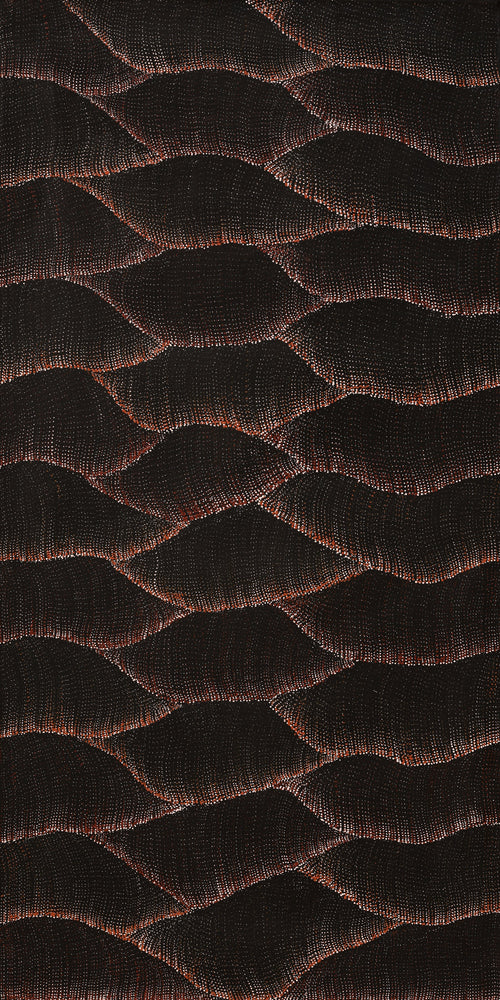 Aboriginal Artwork by Debbie Napaljarri Brown, Wanakiji Jukurrpa (Bush Tomato Dreaming), 152x76cm