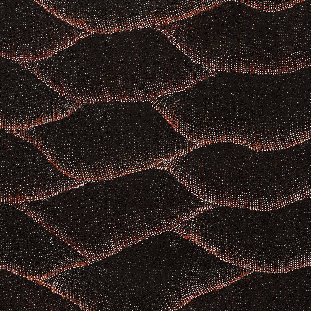 Aboriginal Artwork by Debbie Napaljarri Brown, Wanakiji Jukurrpa (Bush Tomato Dreaming), 152x76cm