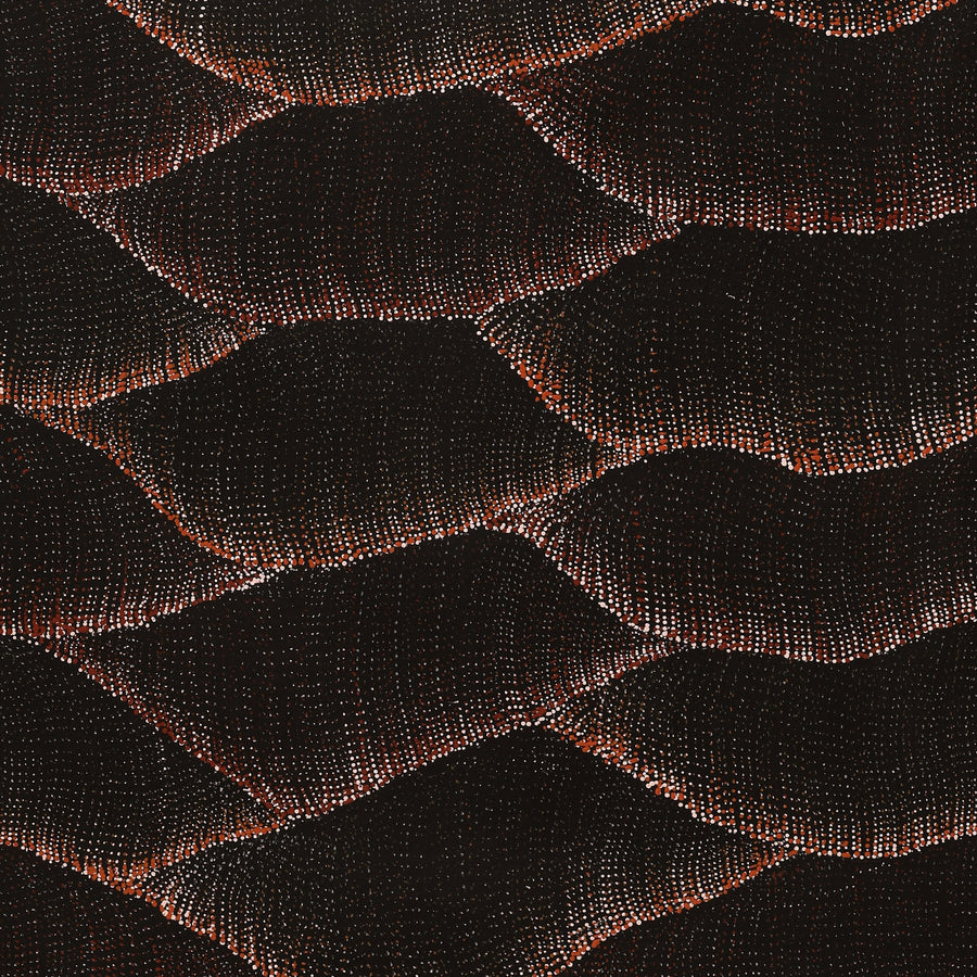 Aboriginal Artwork by Debbie Napaljarri Brown, Wanakiji Jukurrpa (Bush Tomato Dreaming), 152x76cm
