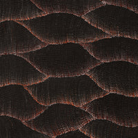 Aboriginal Artwork by Debbie Napaljarri Brown, Wanakiji Jukurrpa (Bush Tomato Dreaming), 152x76cm